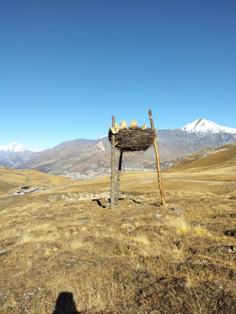 Nid du Gypaete - Val d'Isère - réalisation Dreamwood Outdoor